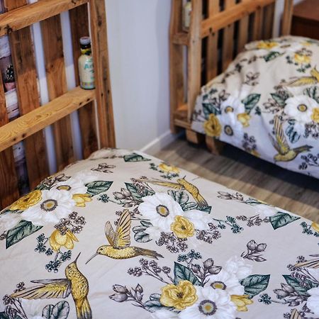 Gite Proche Du Canal Du Midi Et Narbonne 2 Chambres Mirepeisset 외부 사진